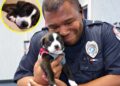 A Police Officer Went to an Animal Shelter for a Routine Call. Then an Abandoned Puppy Reached for Him.